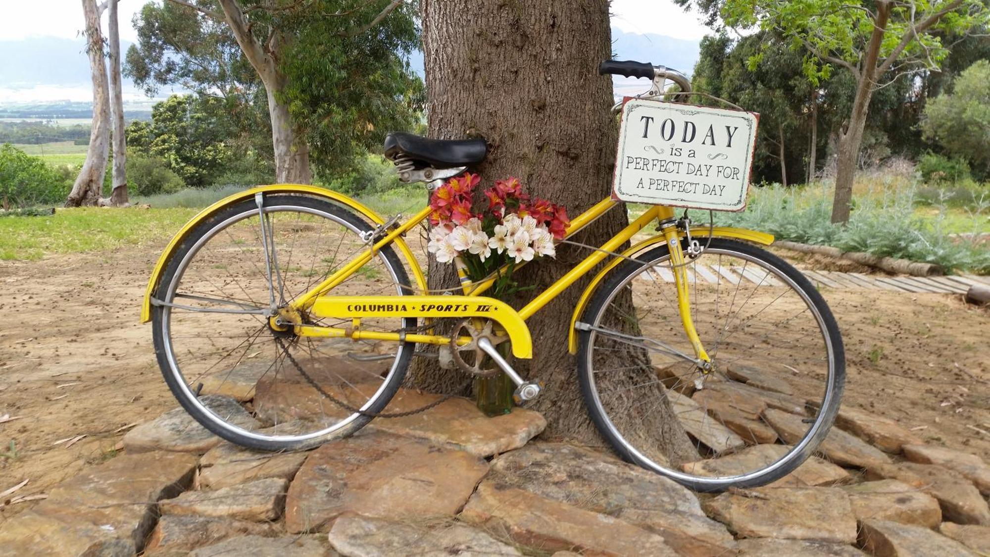 Oudekloof Wine Estate Villa Tulbagh Luaran gambar